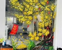 Vẽ tranh tường 3D BMT – Dịch vụ uy tín tại Bồ Câu Trắng Buôn Ma Thuột